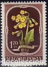 Sellos: Hungria 1951 Scott 978 Sello * Flora Flores Hungaras Oxlip (Primula elatior) Michel 1212 Yvert 1028