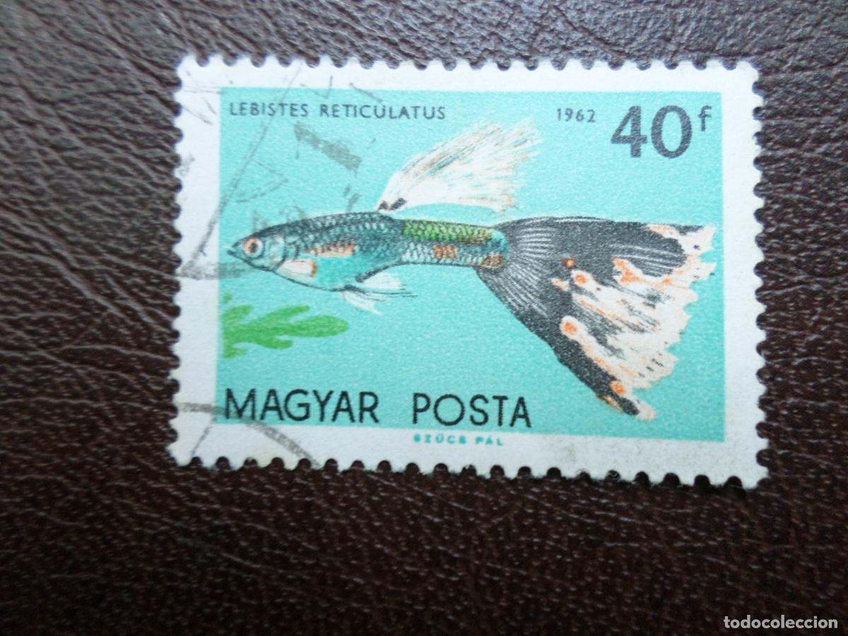 Sellos: *hungria, 1962, peces ornamentales, Yvert 1497