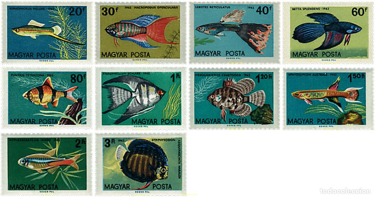 Briefmarken: 63986 MNH HUNGRIA 1962 PECES ORNAMENTALES