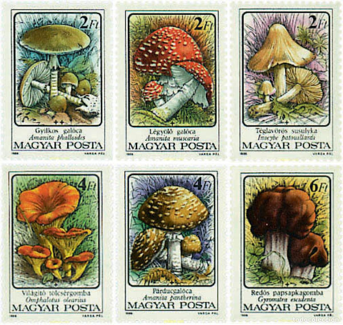 Francobolli: 36189 MNH HUNGRIA 1986 SETAS VENENOSAS