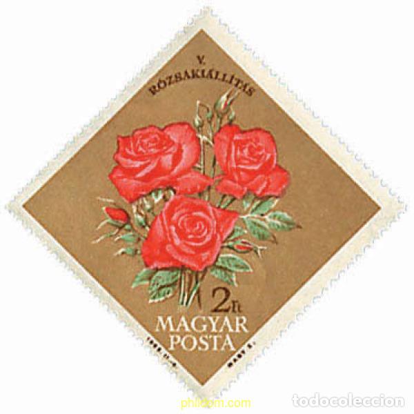 Sellos: 229407 MNH HUNGRIA 1963 5 FESTIVAL NACIONAL DE LA ROSA EN BUDAPEST