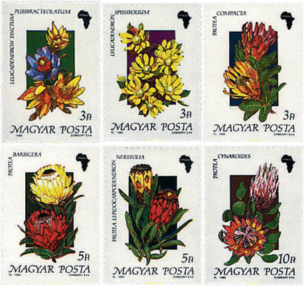 Timbres: 89647 MNH HUNGRIA 1990 FLORES AFRICANAS