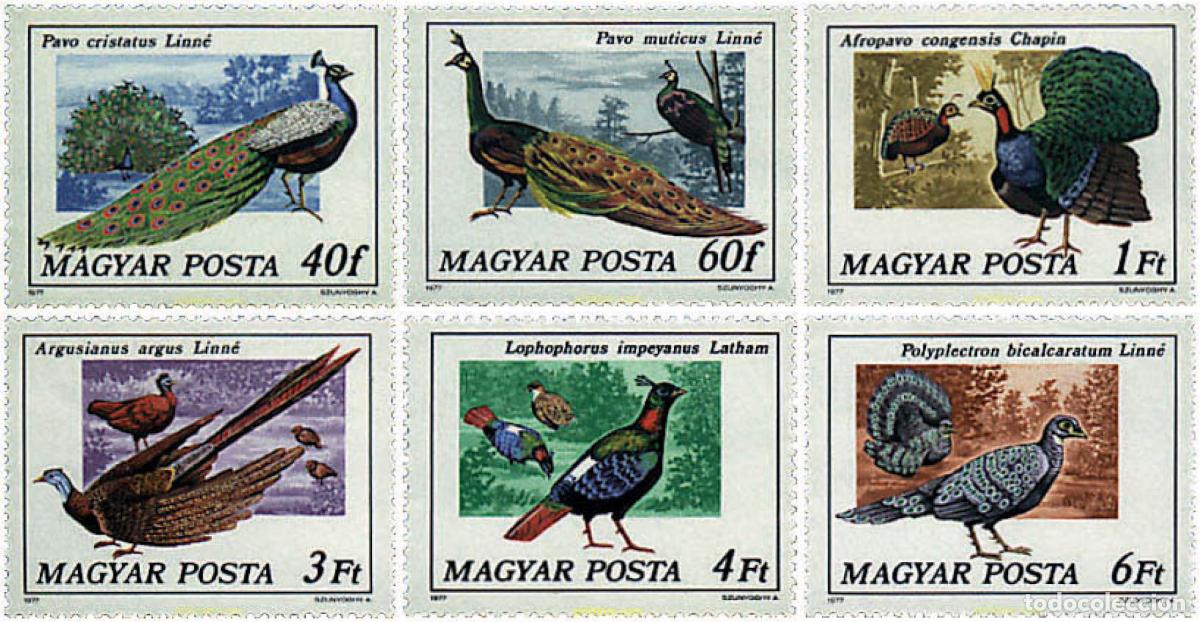 Sellos: 64135 MNH HUNGRIA 1977 FAISANES Y PAVOS