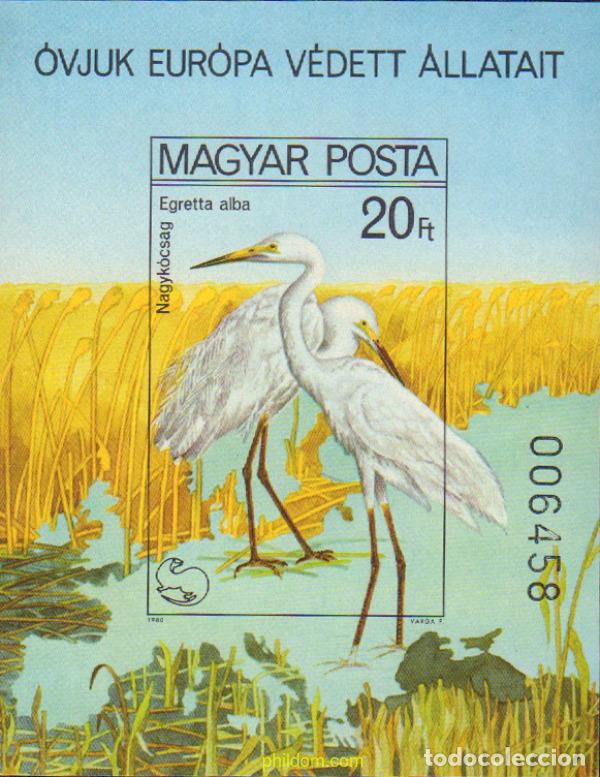 Sellos: 20668 MNH HUNGRIA 1980 A&Ntilde;O EUROPEO PARA LA PROTECCION DE LA NATURALEZA