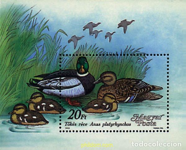 Sellos: 64283 MNH HUNGRIA 1988 PATOS SALVAJES