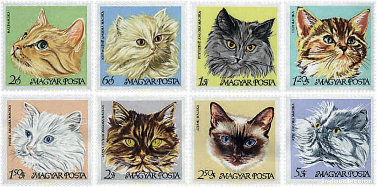 Sellos: 64051 MNH HUNGRIA 1968 GATOS