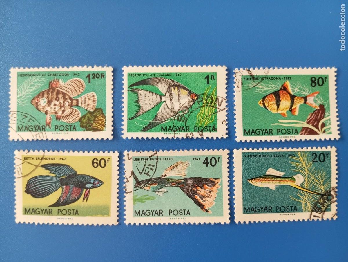Briefmarken: HUNGR&Iacute;A, 1962, PECES,NYT 1495 Y SS