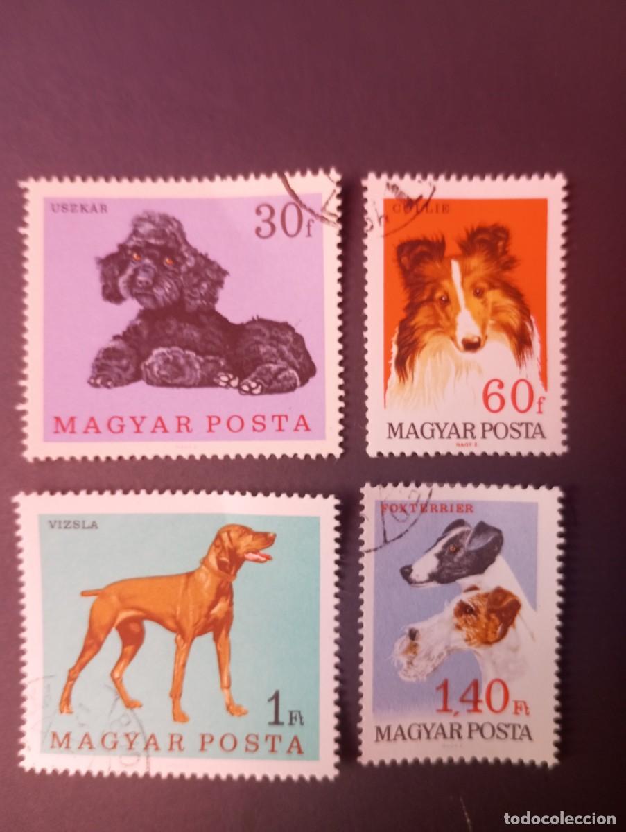 Sellos: HUNGR&Iacute;A, 1967, RAZAS DE PERROS, YT 1903/6