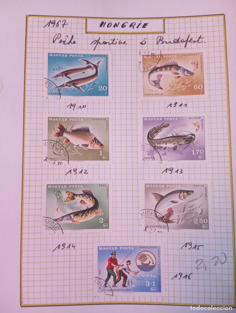 Sellos: HUNGR&Iacute;A, 1967, PECES, YT 1910/16