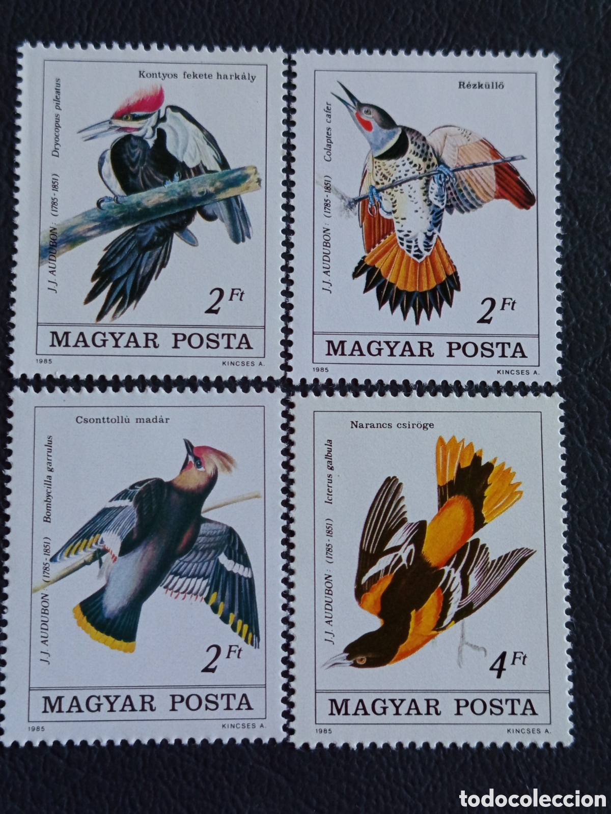 Sellos: Hungr&iacute;a 1985 Audubon P&aacute;jaros 4 Sellos Magyar Posta SG 3635 MNH★★