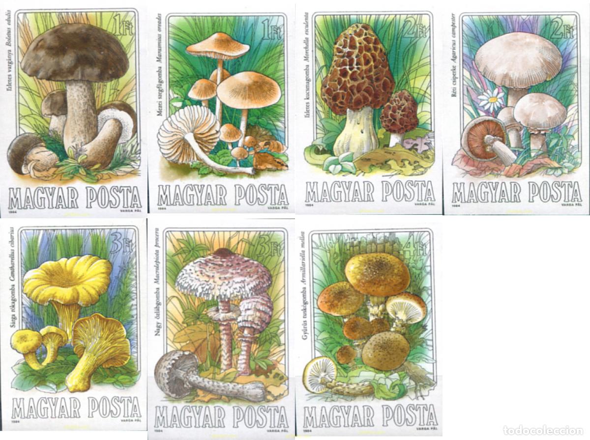 Sellos: 21352 MNH HUNGRIA 1984 SETAS