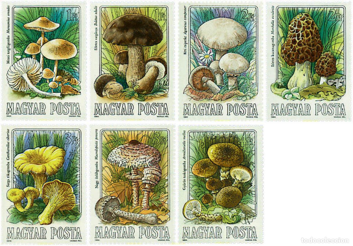 Sellos: 36168 MNH HUNGRIA 1984 SETAS
