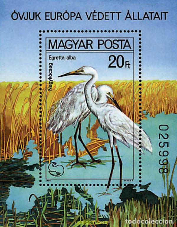 Sellos: 64164 MNH HUNGRIA 1980 A&Ntilde;O EUROPEO PARA LA PROTECCION DE LA NATURALEZA