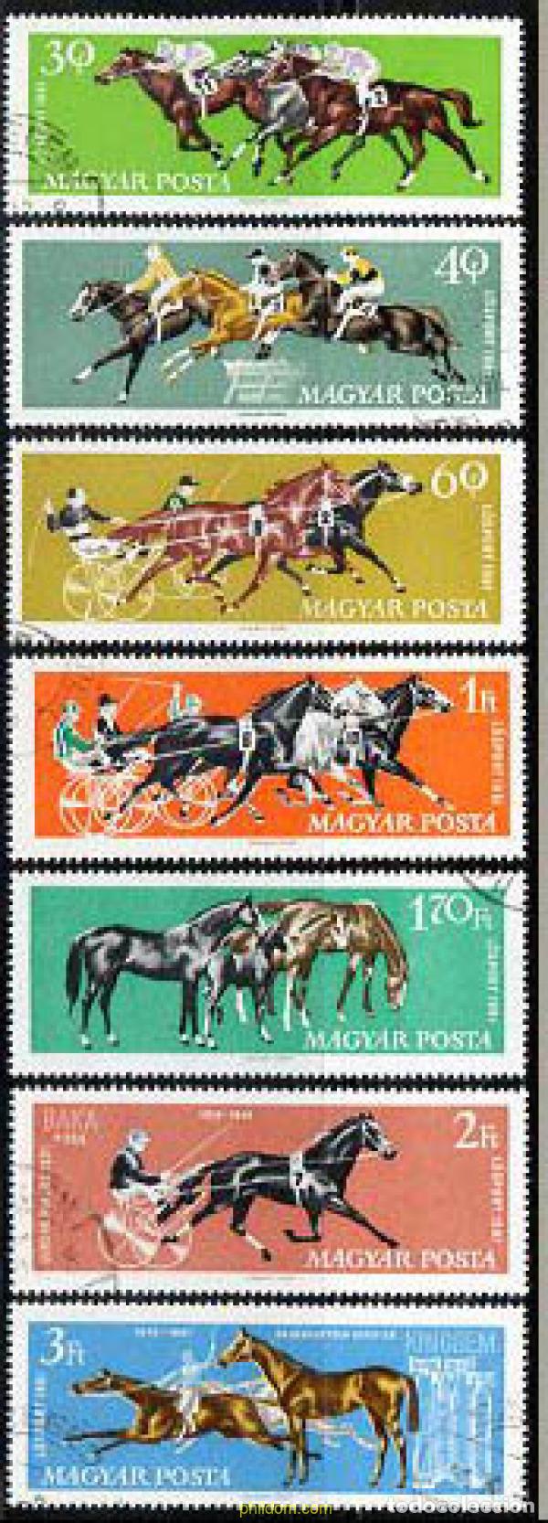Sellos: 79671 USED HUNGRIA 1961 CABALLOS DE CARRERAS