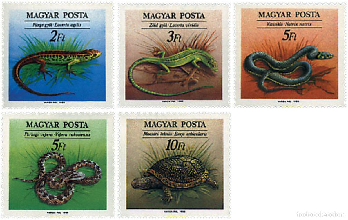 Sellos: 64294 MNH HUNGRIA 1989 REPTILES