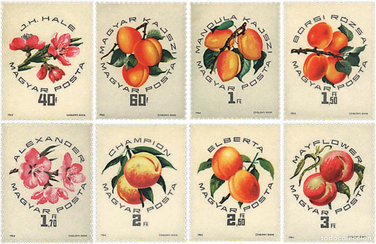 Timbres: 89698 MNH HUNGRIA 1964 EXPOSICION NACIONAL DE MELOCOTONES Y ALBARICOQUES EN SZEGED