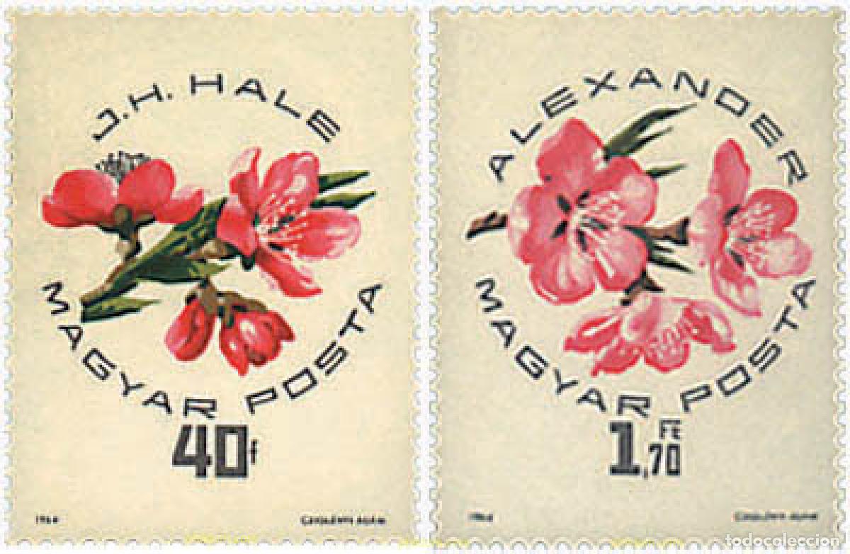 Stamps: 267114 MNH HUNGRIA 1964 EXPOSICION NACIONAL DE MELOCOTONES Y ALBARICOQUES EN SZEGED