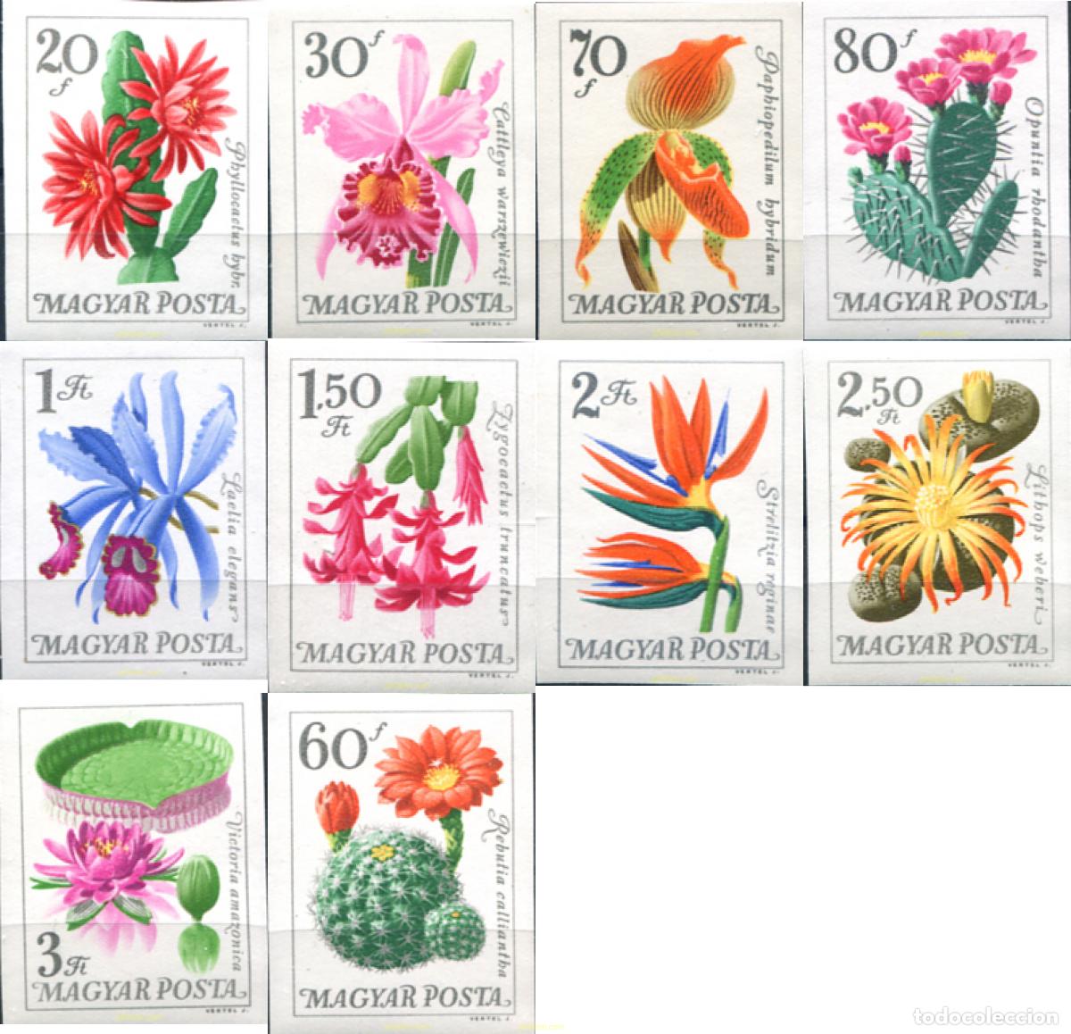 Stamps: 15542 MNH HUNGRIA 1965 FLORES DEL JARDIN BOTANICO