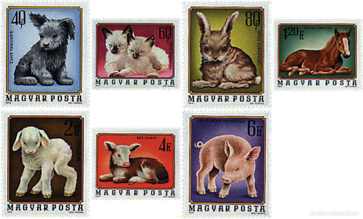Sellos: 64091 MNH HUNGRIA 1974 CACHORROS DE ANIMALES DOMESTICOS