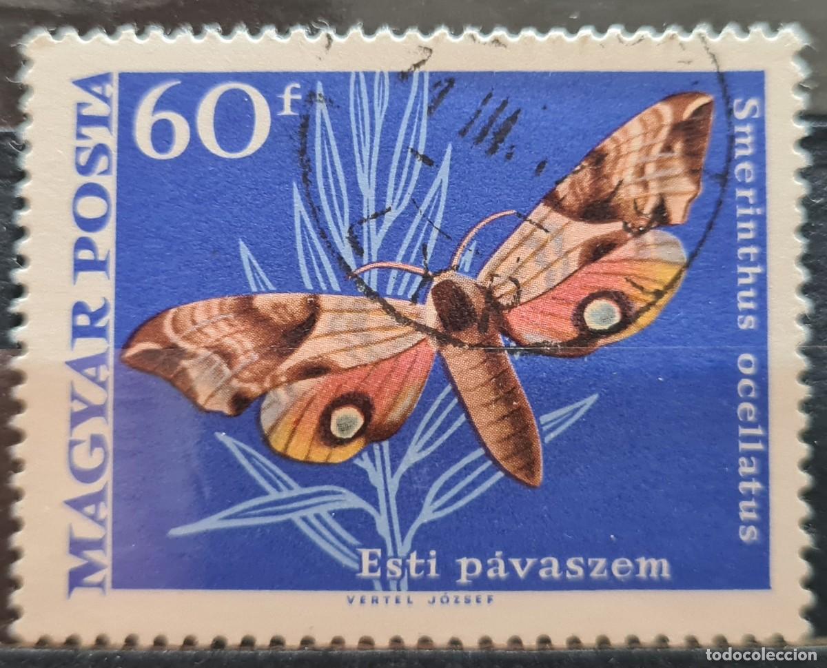 Timbres: Sello usado de Hungr&iacute;a 1969. Mariposas: Smerinthus ocellata
