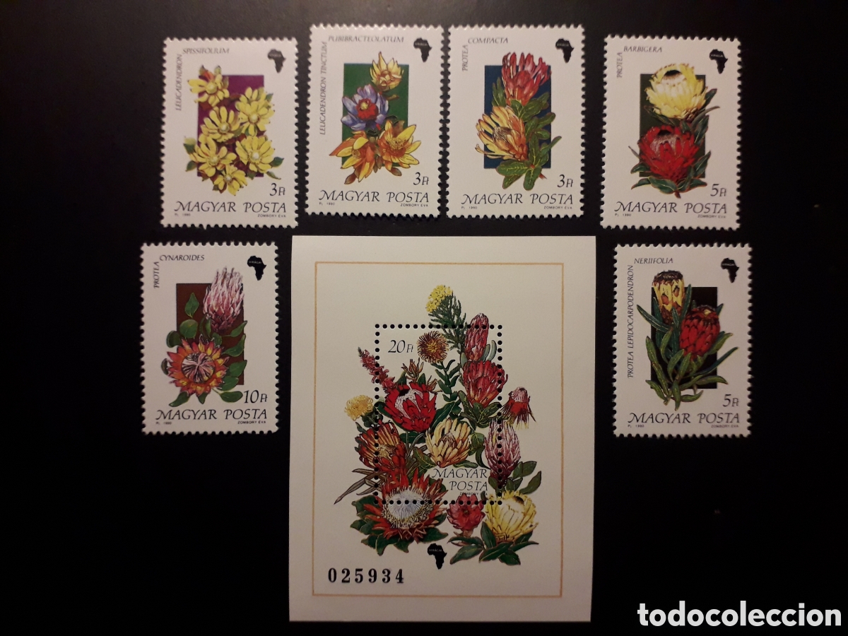 Sellos: HUNGR&Iacute;A YVERT 3263/8 HB-209 SERIE COMPLETA NUEVA *** 1990 FLORA, FLORES DE &Aacute;FRICA PEDIDO M&Iacute;NIMO 3&euro;