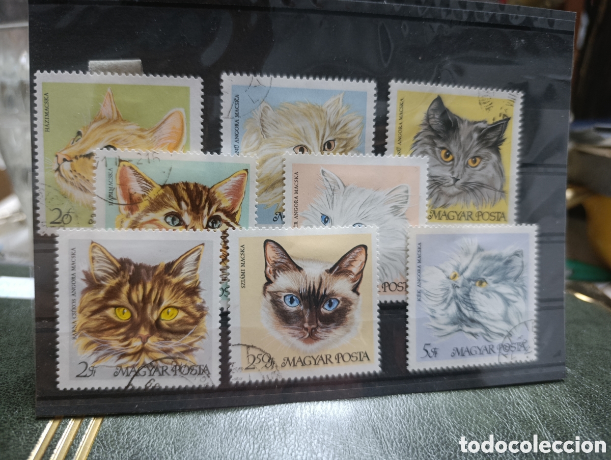 Sellos: Serie sellos Hungr&iacute;a razas felinas 1968.