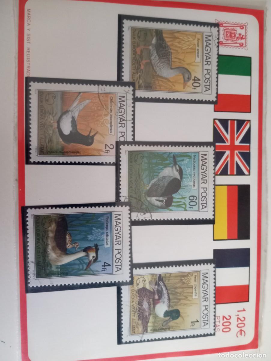 Sellos: HUNGR&Iacute;A , FAUNA, AVES