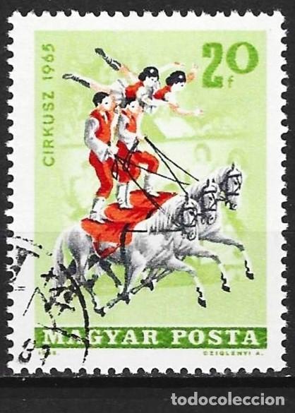 Sellos: Hungria 1965 - Mi 2141 - YT 1744 - El circo : Ejercicio con caballos