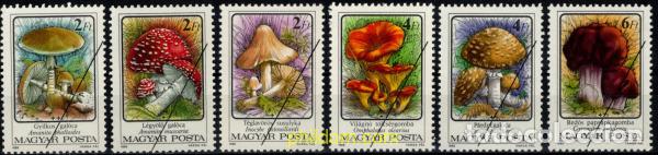 Sellos: 794555 MNH HUNGRIA 1986 SETAS VENENOSAS