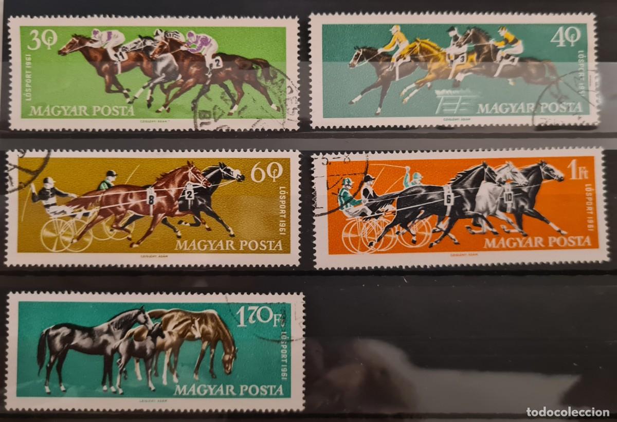 Sellos: Serie de sellos usados de Hungr&iacute;a 1961: H&iacute;pica deportiva