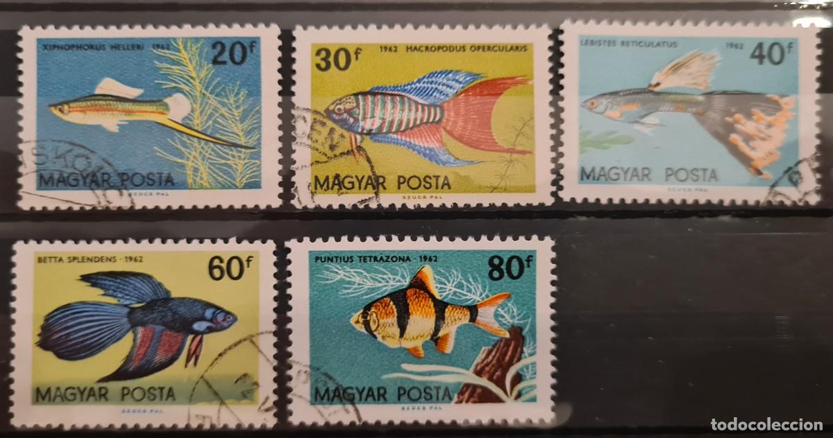 Briefmarken: Serie de sellos usados de Hungr&iacute;a 1962: peces ornamentales