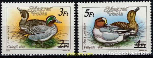 Sellos: 794592 MNH HUNGRIA 1988 PATOS SALVAJES