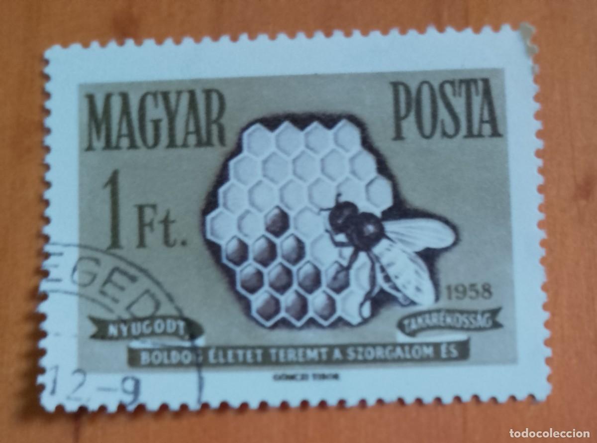 Sellos: HUNGRIA - V/F 1 FT - A&Ntilde;O 1958 - PANAL DE ABEJA, AVISPA.- VER DESCRIPCI&Oacute;N.