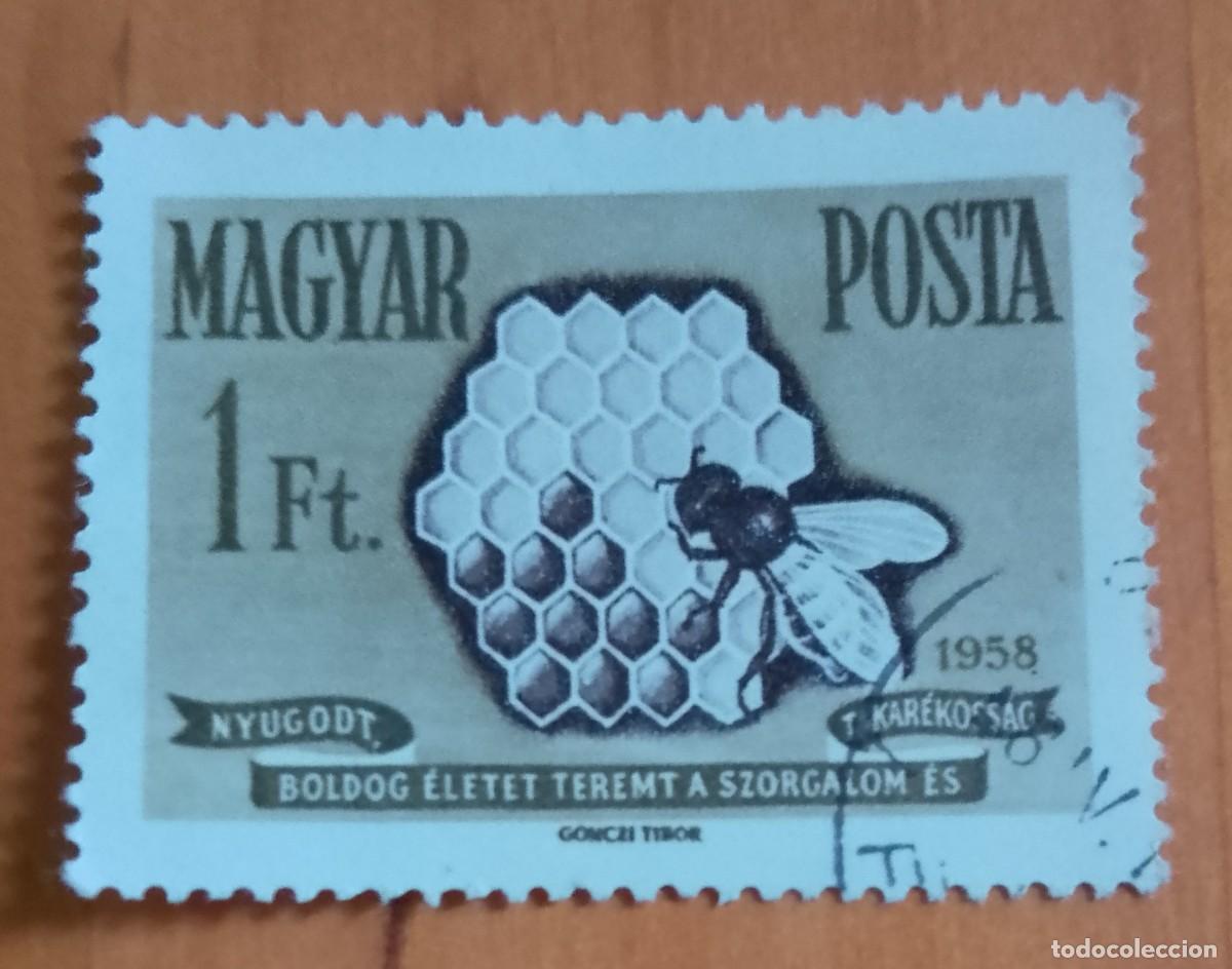 Sellos: HUNGRIA - V/F 1 FT - A&Ntilde;O 1958 - PANAL DE ABEJA, AVISPA.- VER DESCRIPCI&Oacute;N.