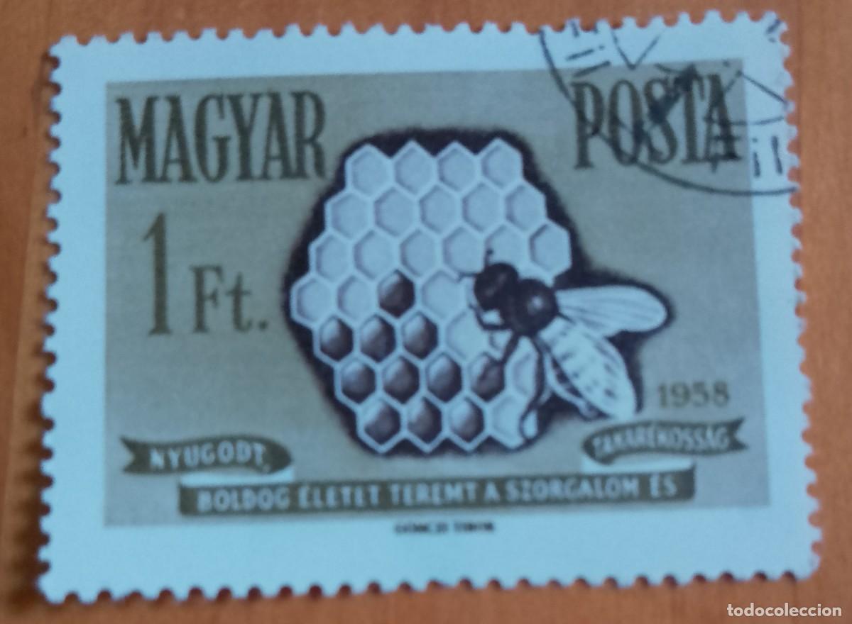 Sellos: HUNGRIA - V/F 1 FT - A&Ntilde;O 1958 - PANAL DE ABEJA, AVISPA.- VER DESCRIPCI&Oacute;N.