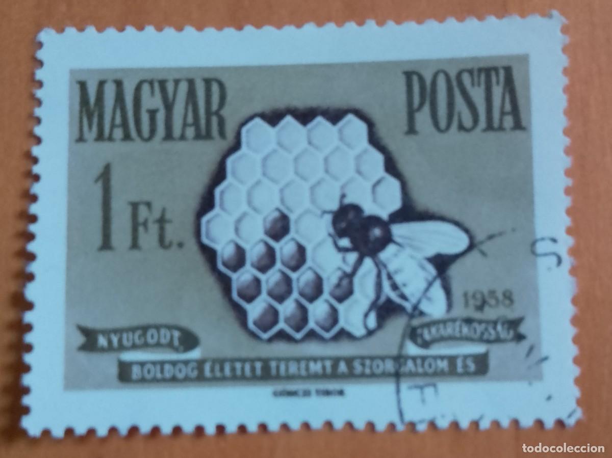 Sellos: HUNGRIA - V/F 1 FT - A&Ntilde;O 1958 - PANAL DE ABEJA, AVISPA.- VER DESCRIPCI&Oacute;N.