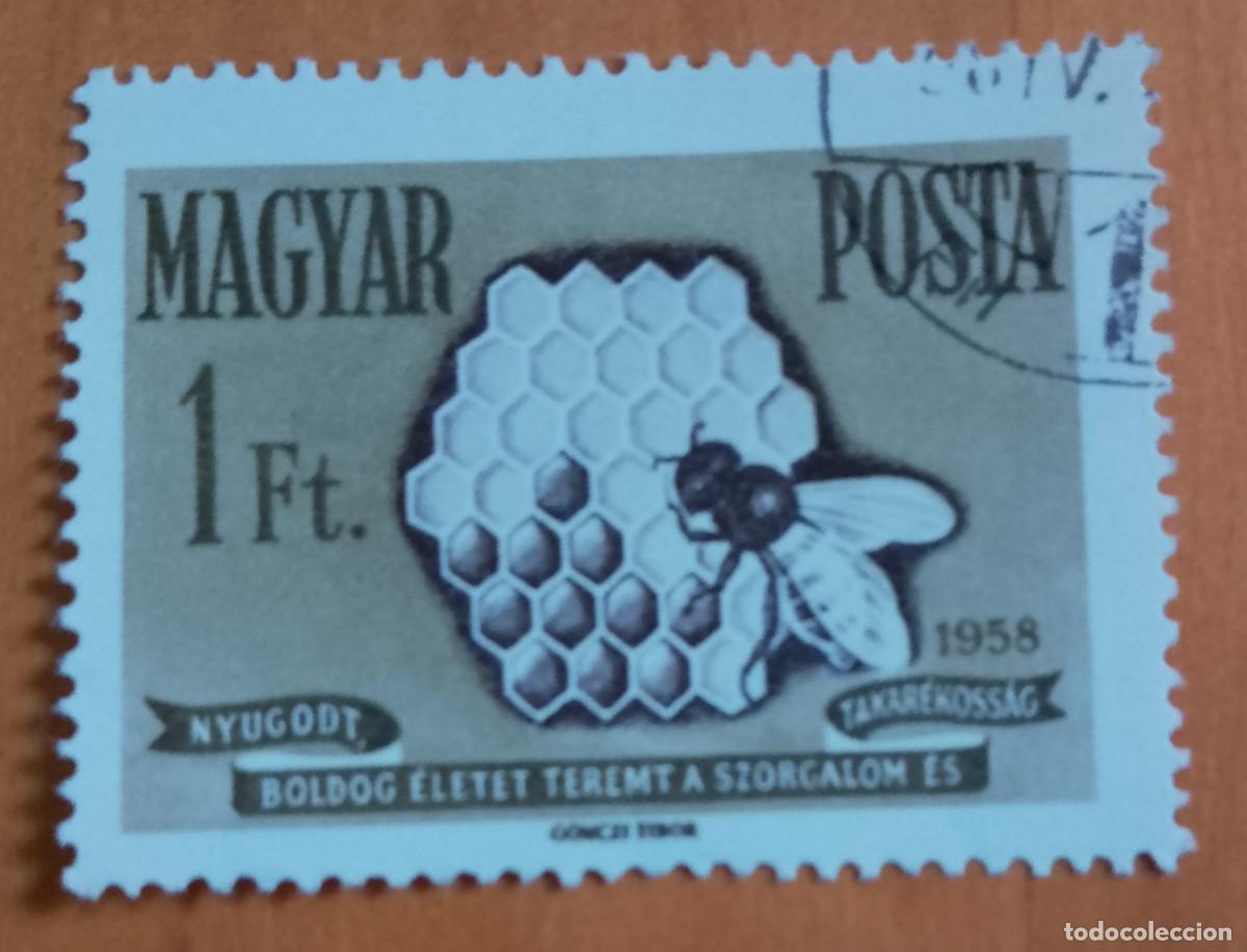 Sellos: HUNGRIA - V/F 1 FT - A&Ntilde;O 1958 - PANAL DE ABEJA, AVISPA.- VER DESCRIPCI&Oacute;N.