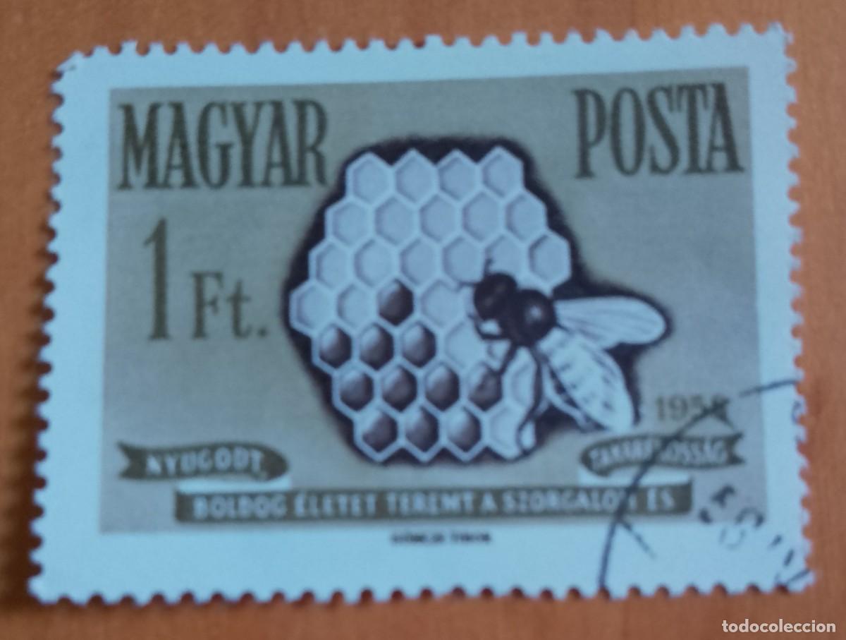 Sellos: HUNGRIA - V/F 1 FT - A&Ntilde;O 1958 - PANAL DE ABEJA, AVISPA.- VER DESCRIPCI&Oacute;N.