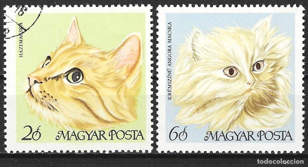 Sellos: Hungria 1968 - Mi 2387 & 2388 - Gatos - Usado ( y nuevo MNH** )