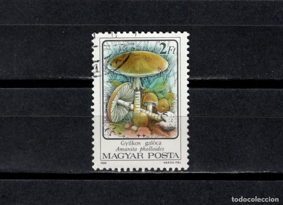 Sellos: Sello usado. Setas venenosas. Hongo de la muerte. Sello de 2 florines. 1986 diciembre. Yvert 3081.