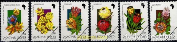 Sellos: 795130 MNH HUNGRIA 1990 FLORES AFRICANAS