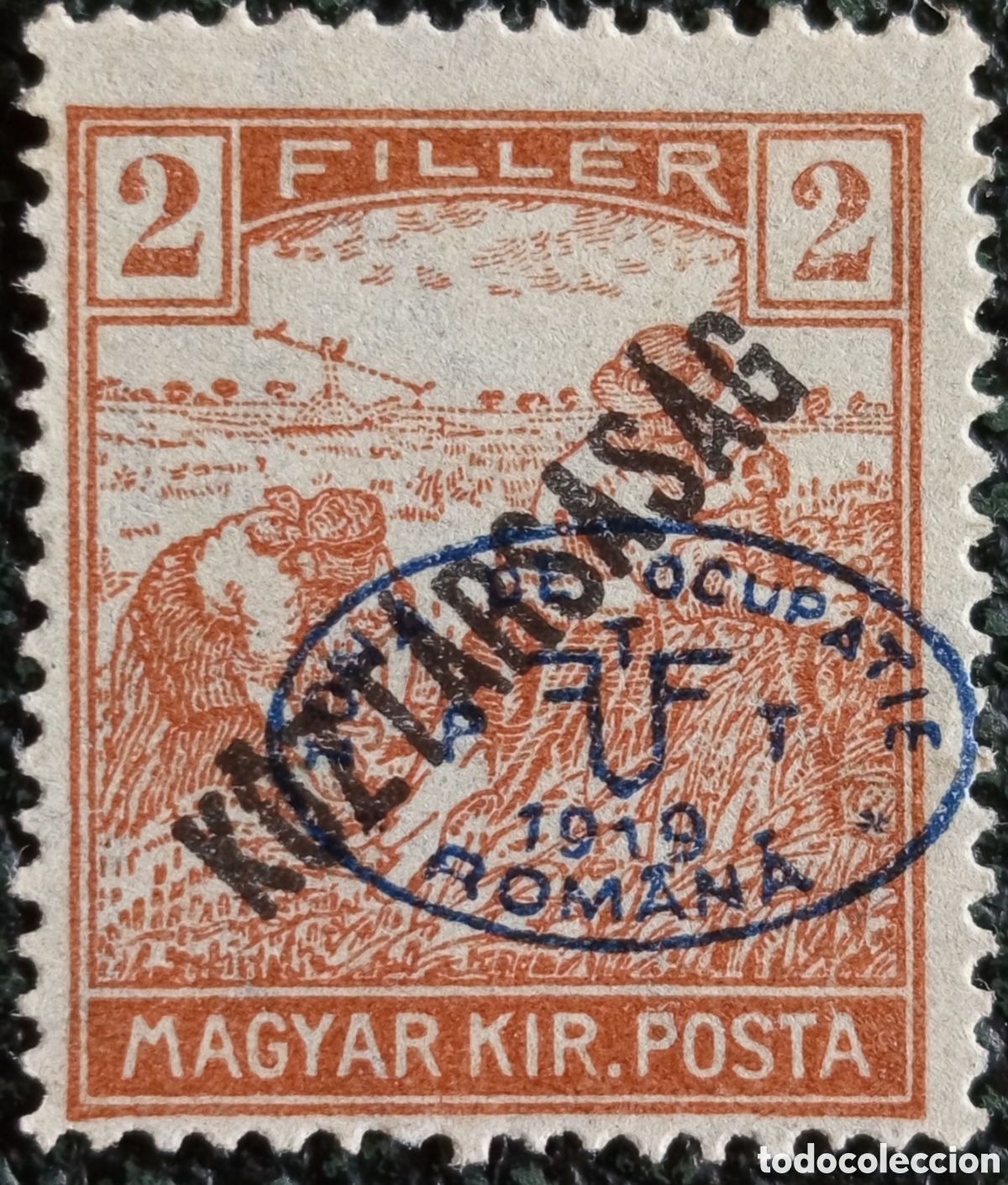 Sellos: Hungr&iacute;a Ocupaci&oacute;n Rumana 1919 Sobrecarga Desplazada 2f Ocre MNH - Michel #1 Var
