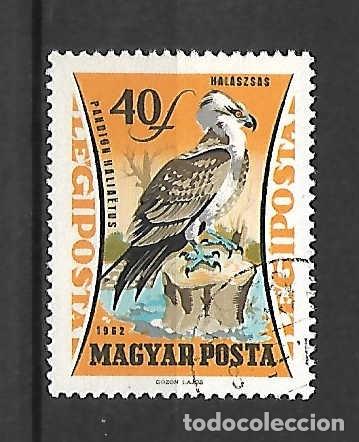 Sellos: Aves: &aacute;guila pescadora , de Hungr&iacute;a . sello a&ntilde;o 1962