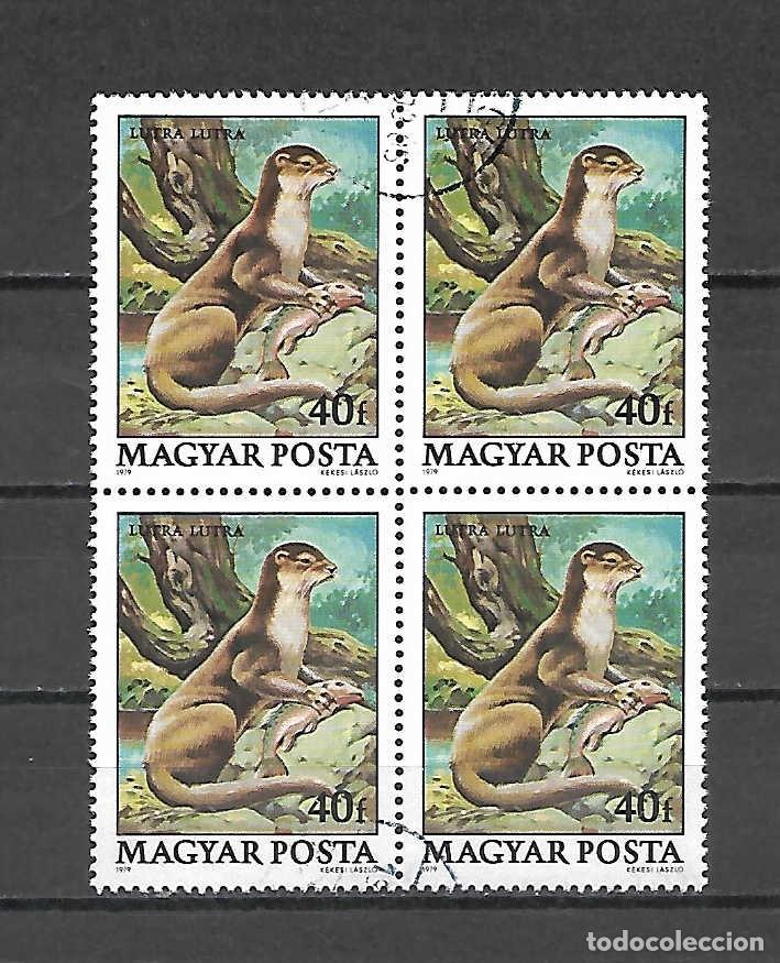 Sellos: Fauna: nutria , de Hungr&iacute;a . sello a&ntilde;o 1979