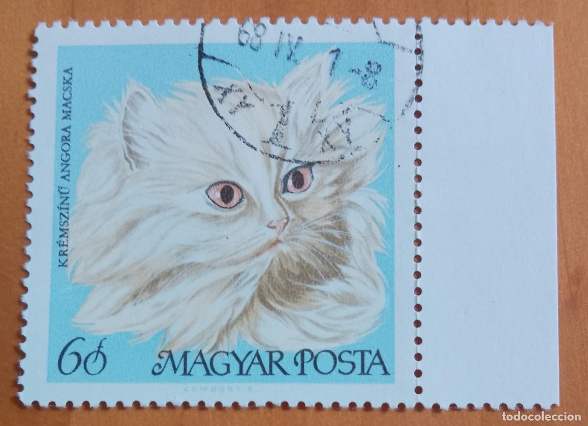 Sellos: HUNGRIA - V/F 60 F - FAUNA, GATO - VER DESCRIPCI&Oacute;N