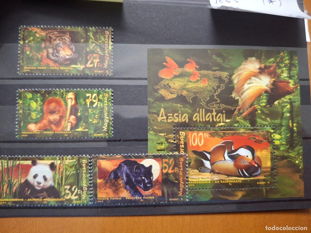 Stamps: HB1714 GRANDES SERIES MUNDIALES HUNGRIA tematica animales con hojita bloque