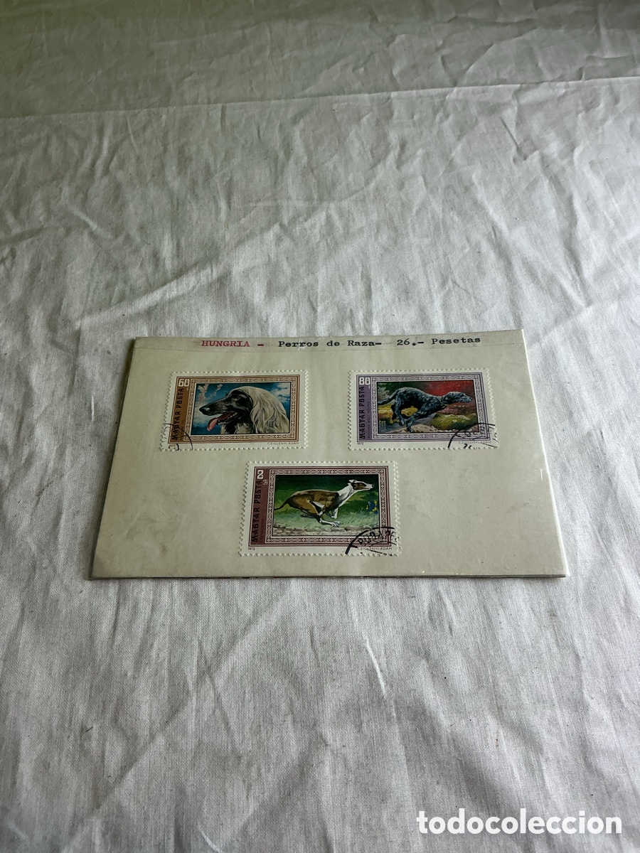 Briefmarken: Hungr&iacute;a 1972 &ndash; Lote de 3 sellos de perros de raza