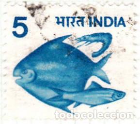 Sellos: 1979-82 - INDIA - PEZ - YVERT 593 - Foto 1