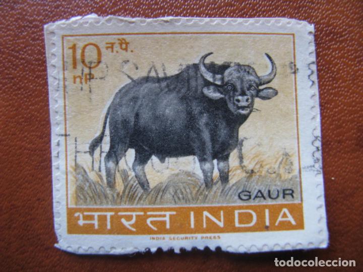 Sellos: India, 1962 bisonte, Yvert 147 - Foto 1