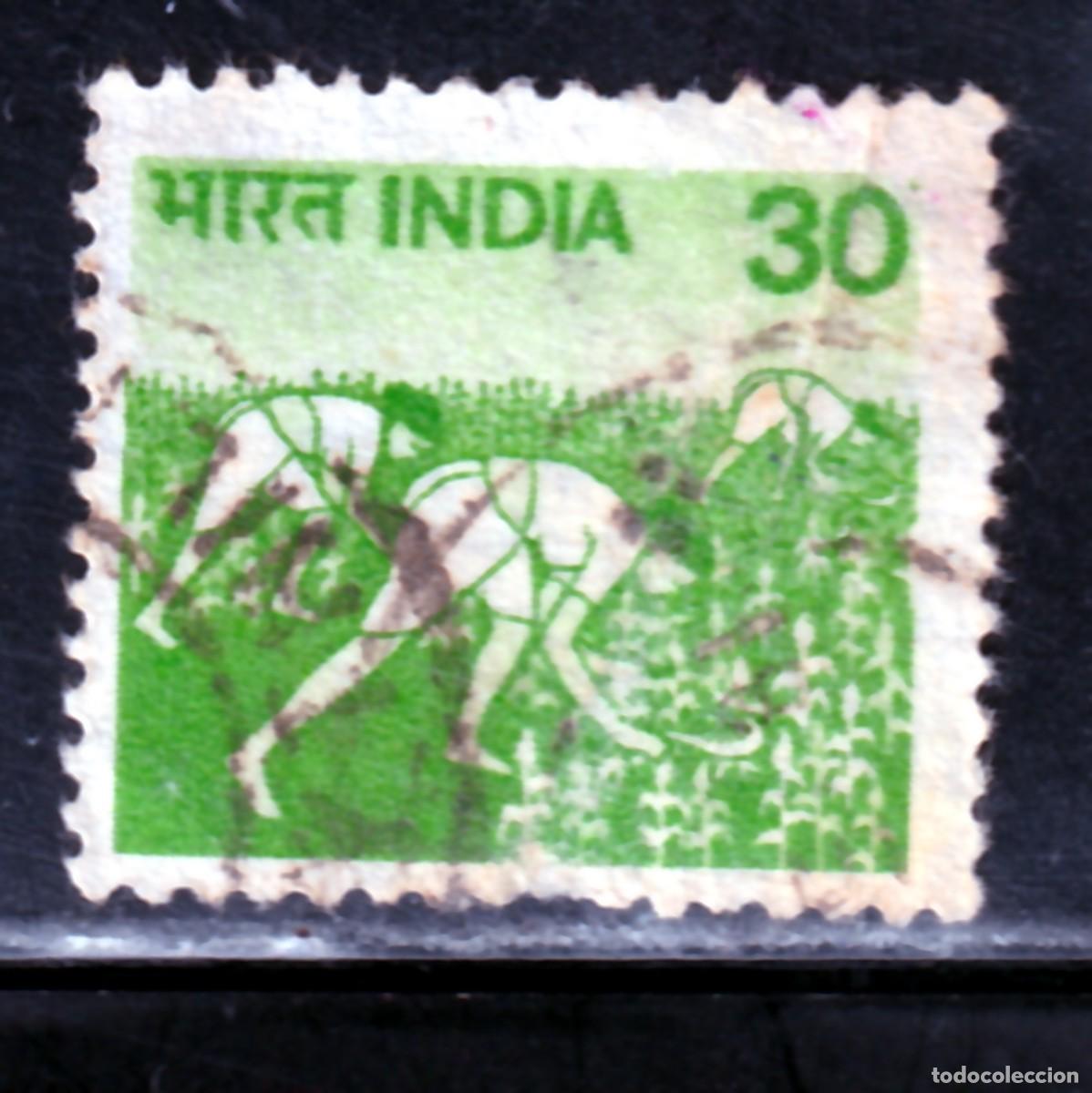 Sellos: INDIA // YVERT 595 // 1979 ... USADO - Foto 1